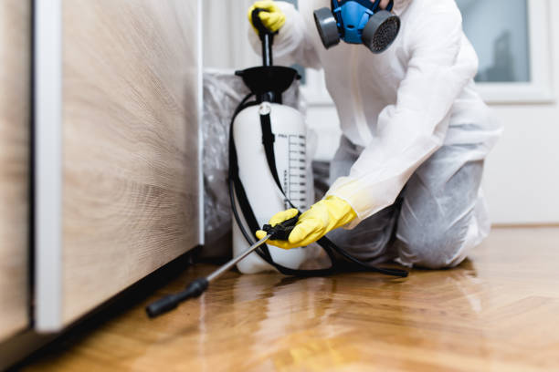 Best Flea Control Services  in Huntersville, NC