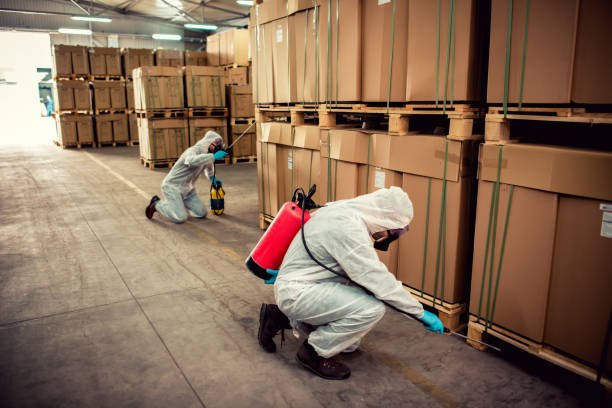 Best Exterminator Services  in Huntersville, NC