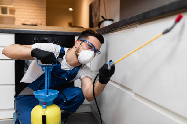 Best Commercial Pest Control Services  in Huntersville, NC