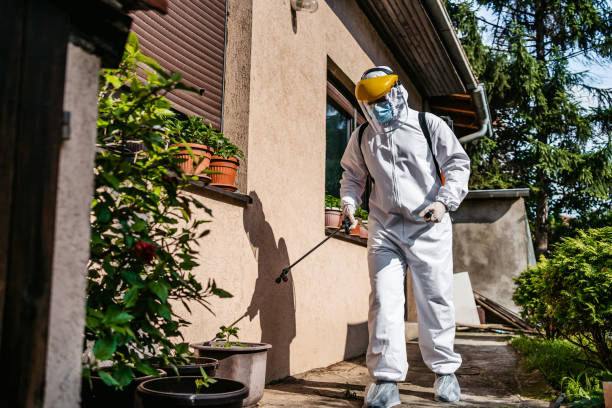 Best Residential Pest Control  in Huntersville, NC