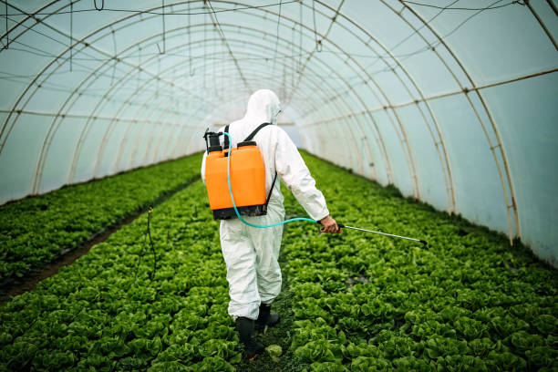 Best Local Pest Control Services  in Huntersville, NC