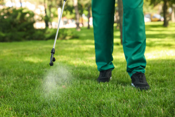 Best Affordable Pest Control Services  in Huntersville, NC