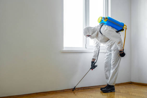 Best Cockroach Control Services  in Huntersville, NC
