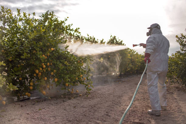 Best Pest Removal Services  in Huntersville, NC