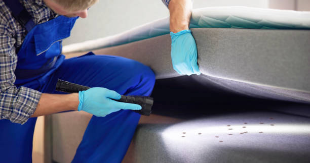 Best Affordable Pest Control Services  in Huntersville, NC