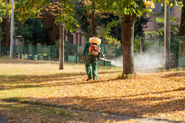 Best Pest Control for Businesses  in Huntersville, NC