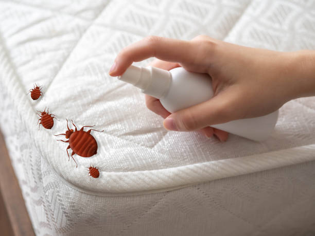 Best Pest Prevention Services  in Huntersville, NC