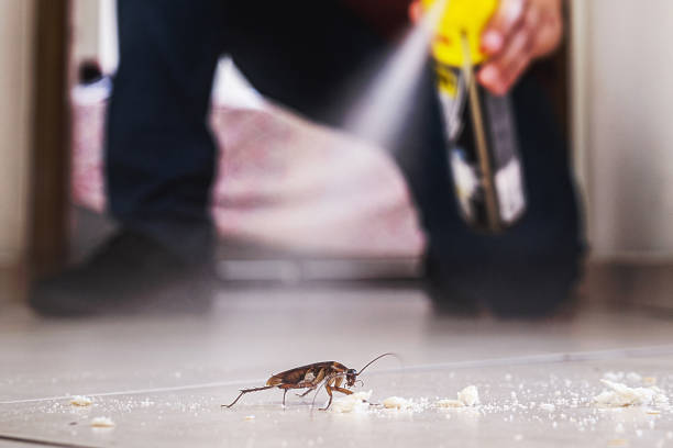 Reliable Huntersville, NC Pest Control Solutions