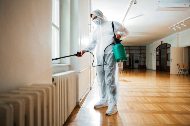 Best Best Pest Control Companies  in Huntersville, NC