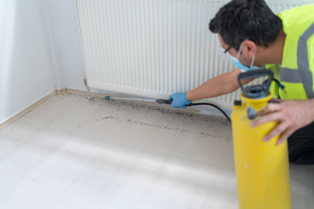 Best Affordable Pest Control Services  in Huntersville, NC