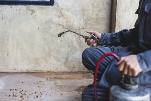 Best Wasp Removal Services  in Huntersville, NC